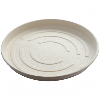 Pizzabox, Bagasse