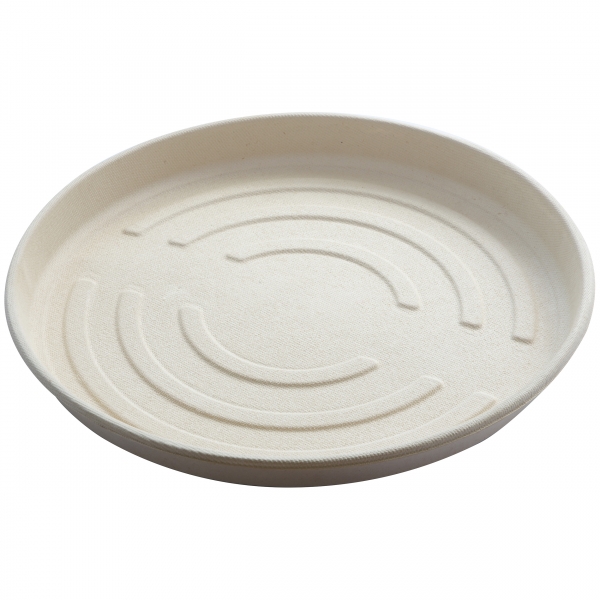 Pizzabox, Bagasse