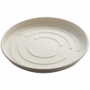 Pizzabox, Bagasse
